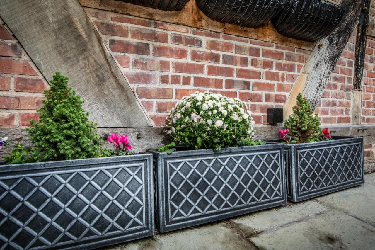 "Wesley House" Historic Home In Town Centre With Parking Shrewsbury Extérieur photo